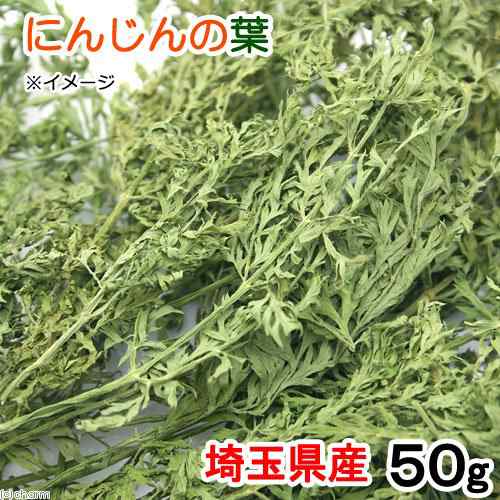 国産 にんじんの葉 ５０ｇ 小動物用のおやつ (ハムスター 餌) の通販