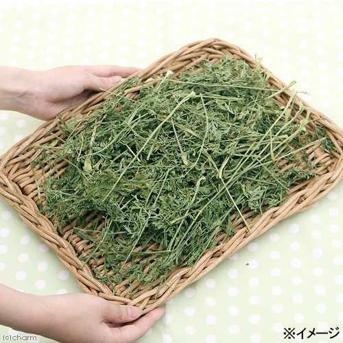 国産 にんじんの葉 ５０ｇ 小動物用のおやつ (ハムスター 餌) の通販