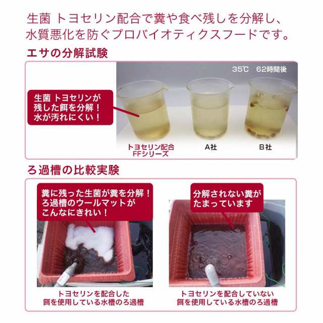 ｆｆ ｎｕｍ２００ ナマズ 大型肉食熱帯魚用 タブレット 沈下性 ３００ｇ プレミアム健康管理フード 大型魚 餌 エサ えさの通販はau Pay マーケット チャーム