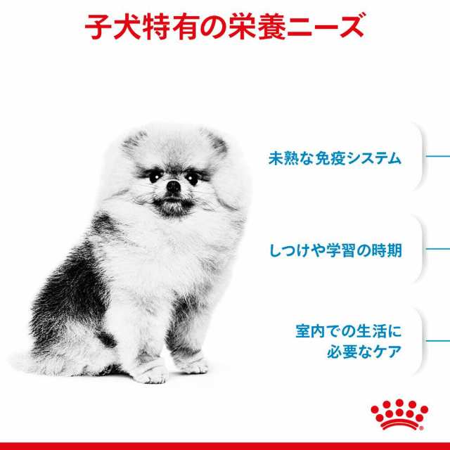 ロイヤルカナン 犬用 ドッグフード ミニ インドア パピー 子犬用