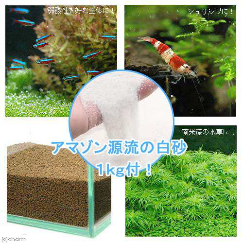 水草とシュリンプの土 こげ茶 ３ ３ｋｇ 約３リットル 細粒タイプ アマゾン川源流の白砂 １ｋｇの通販はau Pay マーケット チャーム