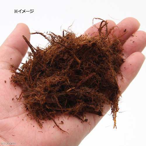 天然樹皮培養土 クリプトモス ｍサイズ ８ｌ シダ 観葉植物 山野草用の通販はau Pay マーケット チャーム