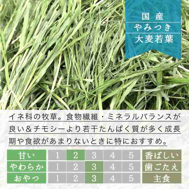 令和５年産 国産 やみつき大麦若葉 ５０ｇ 牧草 うさぎ モルモット 小動物 おやつ ＵＳＡＹＡＭＡの通販はau PAY マーケット チャーム  au PAY マーケット－通販サイト