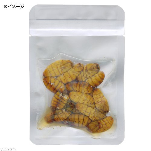 プロバグズ 真空生昆虫 シルクワーム蛹 １５ｇ ３袋セット ｐｒｏｂｕｇｓ ｅｃｏ ｆｒｅｓｈｓｉｌｋｗｏｒｍ ｐｕｐａｅ ハの通販はau Pay マーケット チャーム