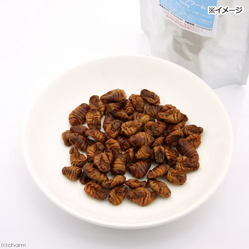 乾燥シルクワーム １００ｇ 無添加 無着色 フトアゴヒゲトカゲ ハリネズミ モモンガ ハムスター ハムスター 餌 の通販はau Pay マーケット チャーム