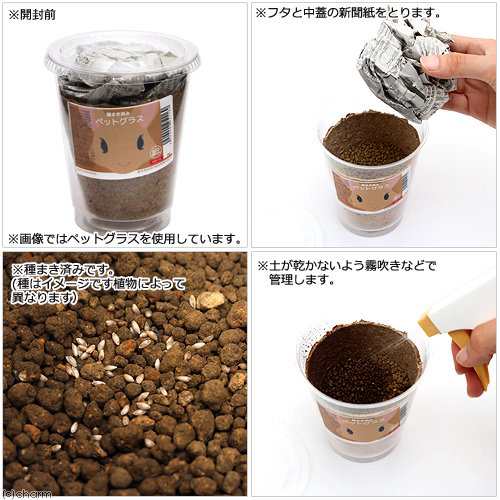 観葉植物 種まき済み チモシー栽培 ｅｃｏポット １ポット リクガメ用 カメ 餌の通販はau Pay マーケット チャーム