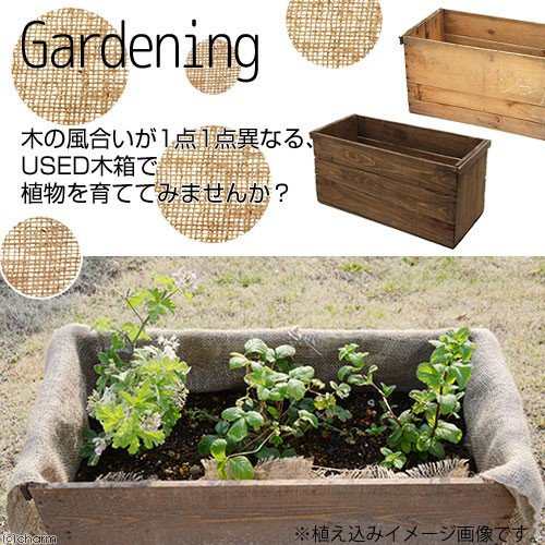 観葉植物）りんご箱ガーデン ラベンダー栽培セット 無塗装 麻袋・軽石