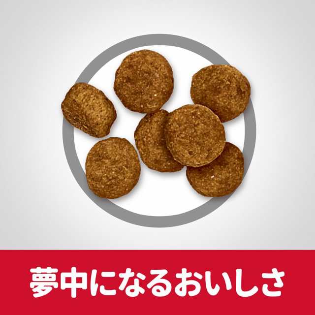 サイエンスダイエット シニア ７歳以上 小粒 高齢犬用 チキン １２ｋｇ×２袋 ヒルズ 犬 ドッグフードの通販はau PAY マーケット - チャーム  | au PAY マーケット－通販サイト