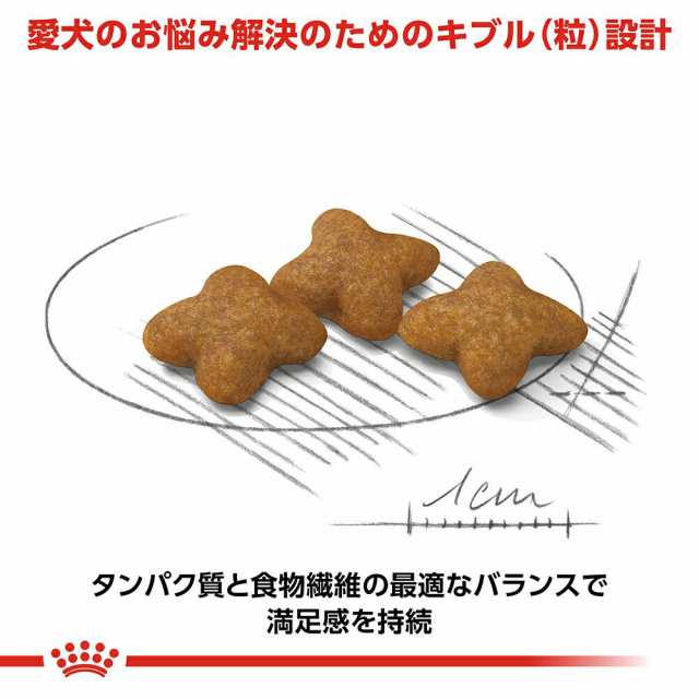 偉大な ロイヤルカナン ミディアム ステアライズド 生後12ヵ月以上 避妊 去勢犬用 成犬〜高齢犬用 中型犬 12kg fucoa.cl