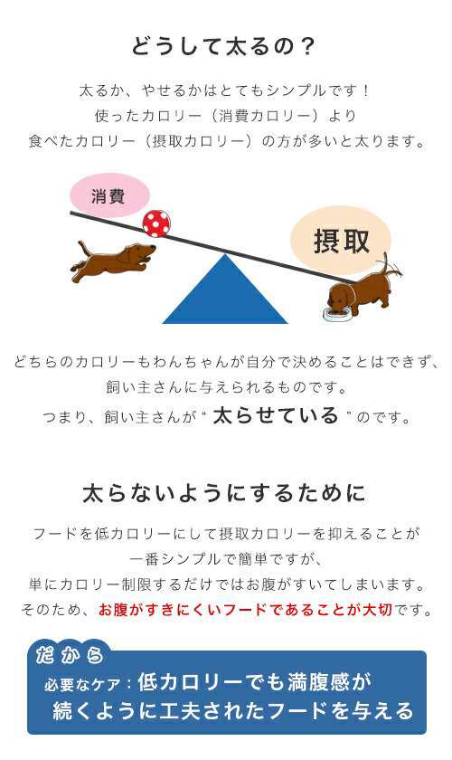 ロイヤルカナン 犬用 ドッグフード 減量したい犬用 小型犬用 ミニ