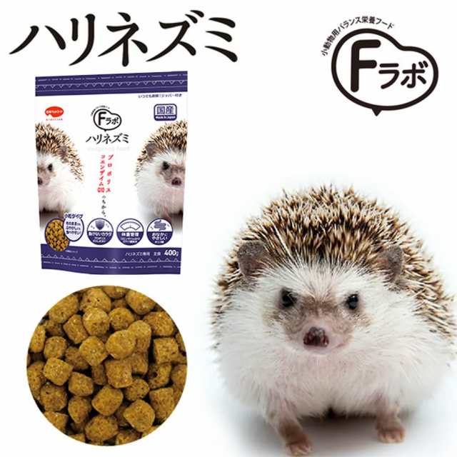 初めてのハリネズミ飼育セットの通販はau PAY マーケット - チャーム | au PAY マーケット－通販サイト