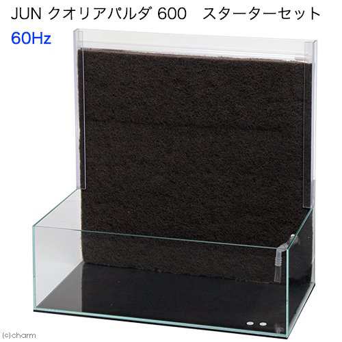 アウトレット品 同梱不可 中型便手数料 ｊｕｎ クオリアパルダ ６００ スターターセット ６０ｈｚ パルダリウム テラリウム の通販はau Pay マーケット チャーム