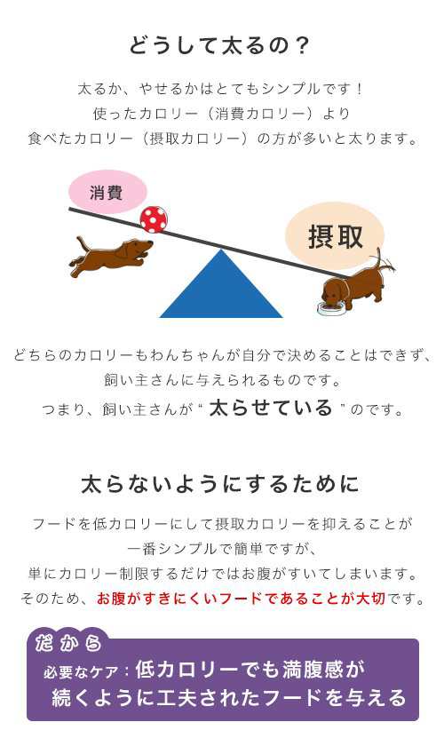 ロイヤルカナン 犬用 ドッグフード 避妊・去勢犬用 小型犬用 ミニ ステアライズド 生後１０ヵ月齢以上 ２ｋｇ ジップ付 お散歩の通販はau PAY  マーケット - チャーム