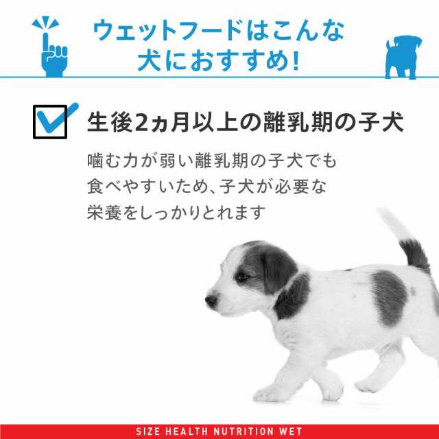 ロイヤルカナン 犬用 ドッグフード 小型犬の子犬用 ミニ パピー 生後１０ヵ月齢まで ８５ｇ パウチ （ドッグフード ウェット）の通販はau PAY  マーケット - チャーム