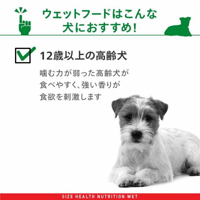 ロイヤルカナン 犬用 ドッグフード 小型犬の高齢犬用 ミニ エイジング １２ １２歳以上 ８５ｇ パウチ ドッグフード ウェの通販はau Pay マーケット チャーム