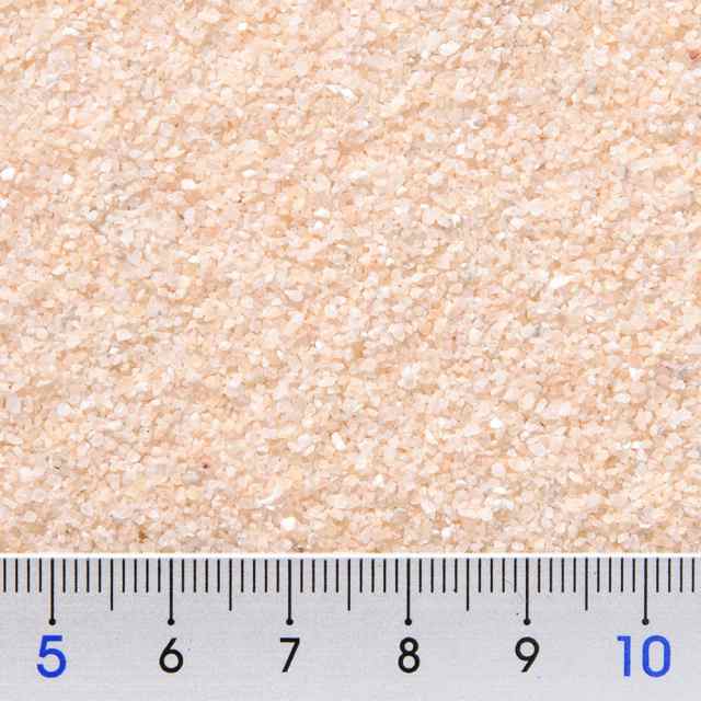 訳あり商品 メダカのナチュラルサンド ２．５ｋｇ 底砂 底床 メダカ ecufilmfestival.com