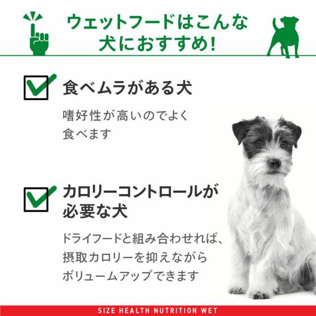 ロイヤルカナン 犬用 ドッグフード 小型犬の成犬用 ミニ アダルト 生後