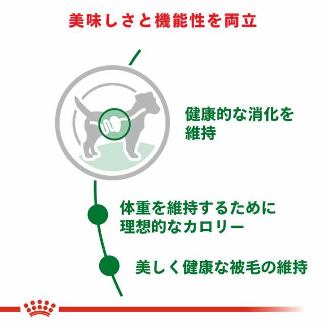 ロイヤルカナン 犬用 ドッグフード 小型犬の成犬用 ミニ アダルト 生後１０ヵ月齢以上 ８５ｇ×１２袋 パウチ （ドッグフード の通販はau PAY  マーケット - チャーム