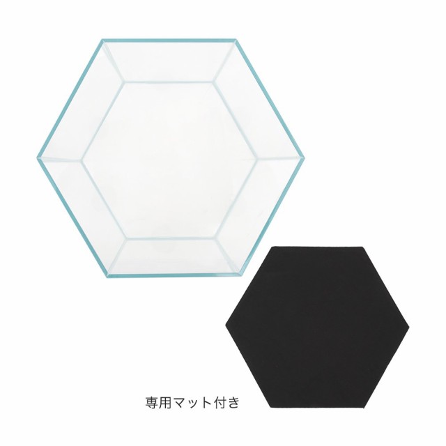 ぽぽんぽん777