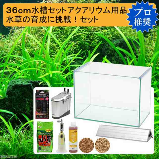 ３６ｃｍ水槽セット 水草の育成に挑戦！アクアリウム用品（水槽・ＬＥＤライト＆他７点）プロ推奨・技術上達飼育セット おまけ付きの通販はau PAY  マーケット - チャーム | au PAY マーケット－通販サイト