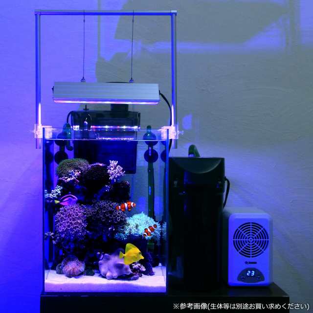 決まりました】オーバーフロー水槽セット システムLED キャノピー ...