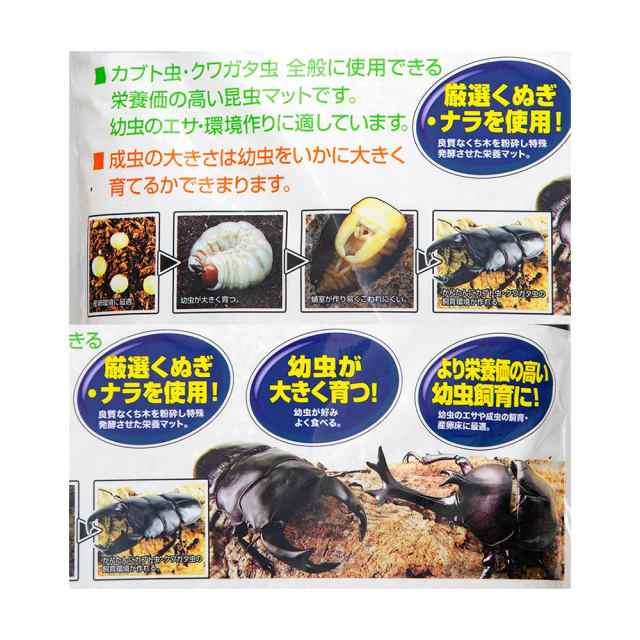 フジコン 昆虫マット くぬぎ育成マット 10L カブトムシ フジコン 昆虫マット くぬぎ育成マット 10L カブトムシ