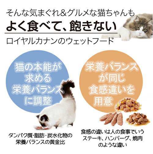 ロイヤルカナン 猫用 キャットフード 猫 室内で生活する中高齢猫用