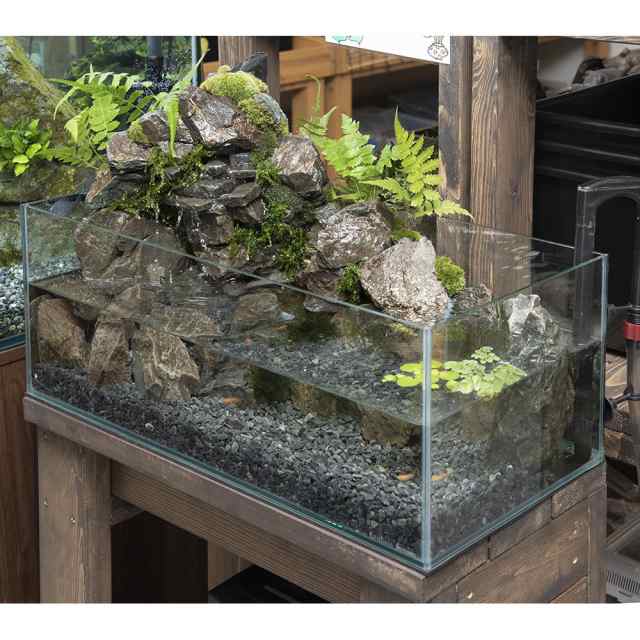 観葉植物 日本の水景 渡良瀬 岩組と滝とめだか ６０ｃｍｌｏｗレイアウト水槽セット お一人様１点限り 本州四国限定の通販はau Pay マーケット チャーム