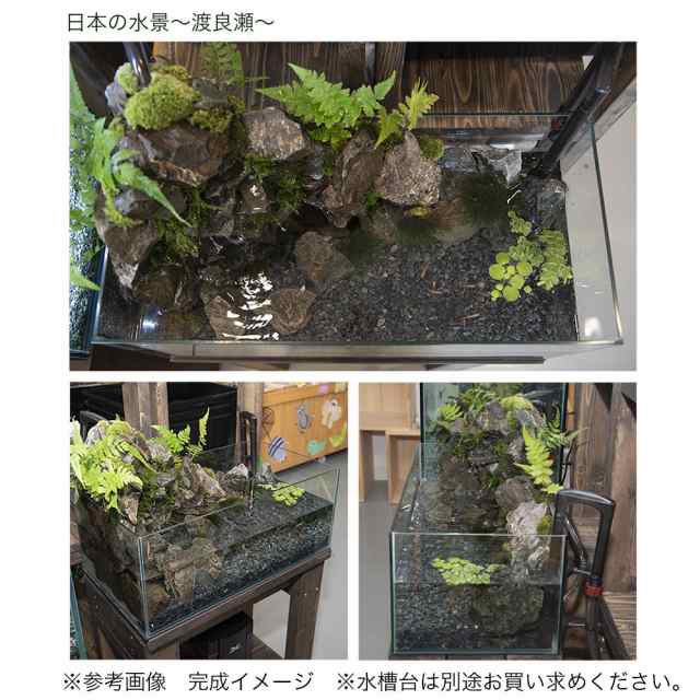 観葉植物 日本の水景 渡良瀬 岩組と滝とめだか ６０ｃｍｌｏｗレイアウト水槽セット お一人様１点限り 沖縄別途送料の通販はau Pay マーケット チャーム