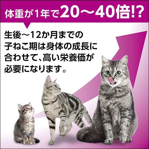 カルカン パウチ まぐろ １２ヶ月までの子ねこ用 ７０ｇ ８袋パック キャットフードの通販はau Pay マーケット チャーム