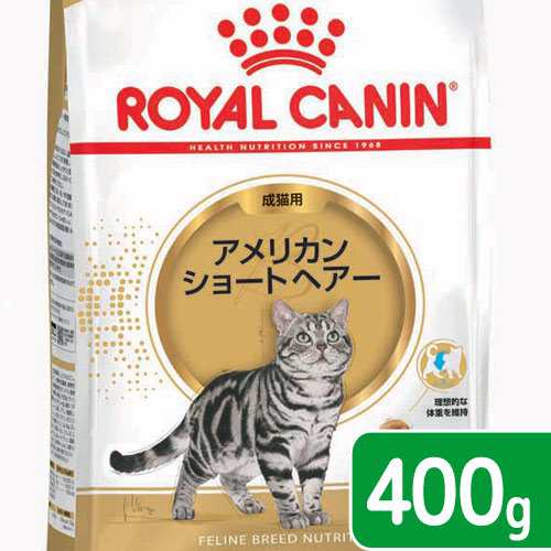 ロイヤルカナン 猫用 キャットフード 猫 アメリカンショートヘアー 成