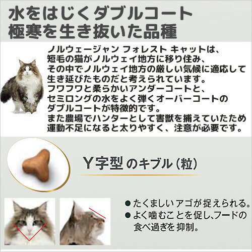 ロイヤルカナン 猫用 キャットフード 猫 ノルウェージャン フォレスト