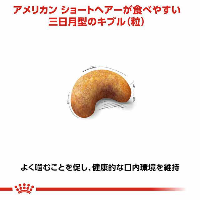 ROYAL CANIN アメリカンショートヘアー 2kg（ロイヤルカナン 猫