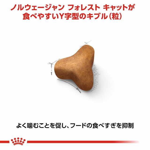 【未開封】ロイヤルカナン　ノルウェージャンフォレストキャット用　2kg