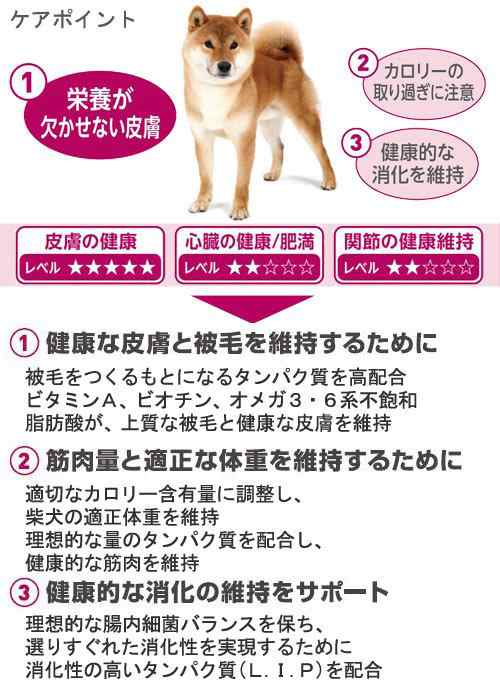 ロイヤルカナン 犬用 ドッグフード 柴犬 中・高齢犬用 ３ｋｇ