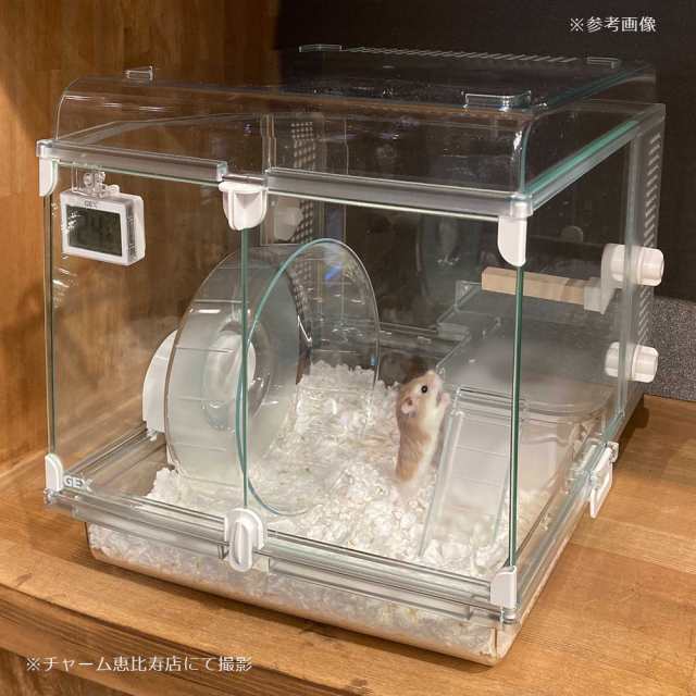 グラスハーモニー ハムスタークリアケージ 250cube 浅かっ