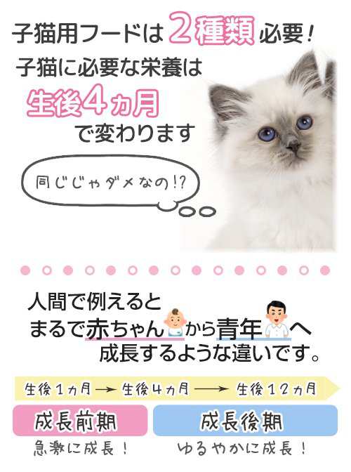 フードを細かくできる子猫セット ロイヤルカナン 猫用 キャットフード ...