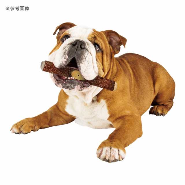 マルカン 歯みが木 Ｌ 中・大型犬用 人気デザイナー www.wago-location.com
