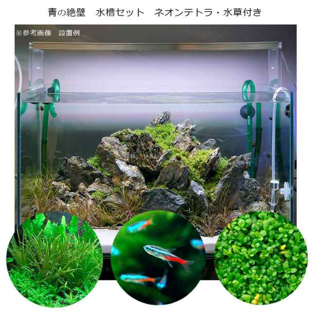 ろ材付き パールグラス - 魚用品