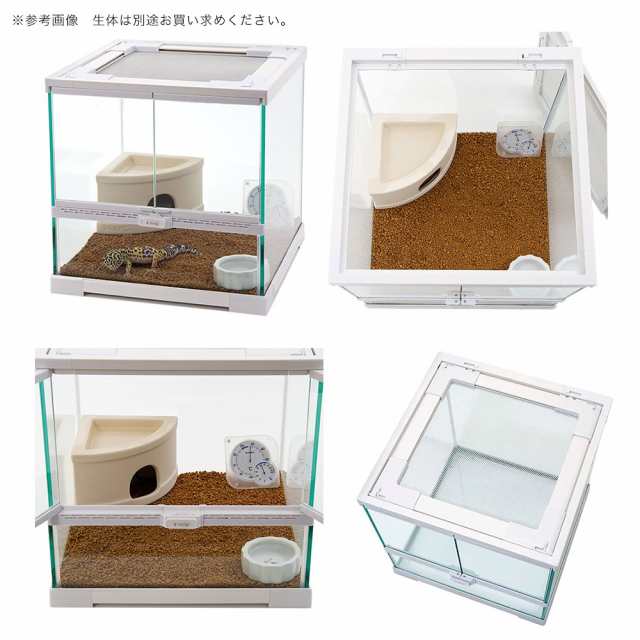 ヒョウモントカゲモドキ 飼育セット レオパ お一人様2点限りの