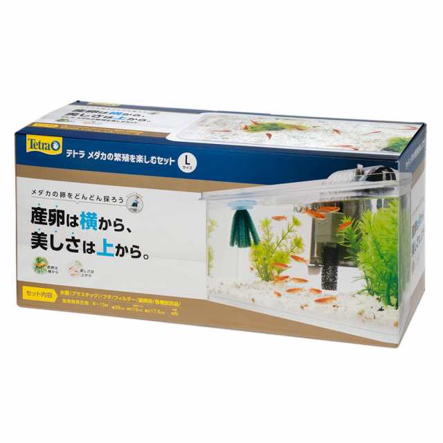 テトラ 水槽セット メダカの繁殖を楽しむセット Ｌ お一人様２点限り メダカ 室内 飼育セット 水槽の通販はau PAY マーケット - チャーム |  au PAY マーケット－通販サイト