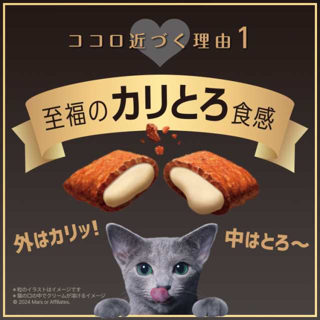 アソート シーバ デュオ ２００ｇ 味のお試し５種セット お一人様２４点限り キャットフードの通販はau PAY マーケット - チャーム