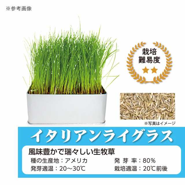 生牧草イタリアンライグラス80サイズ - 小動物用品