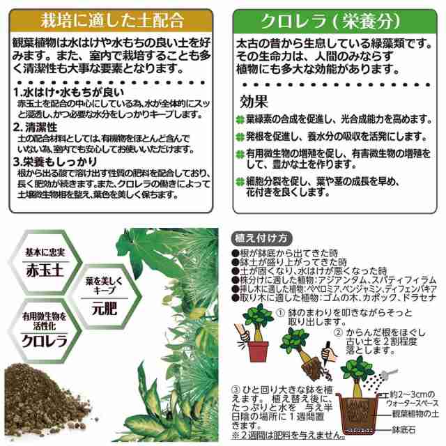 最安値に挑戦！ リッチェル Richell クロレラの恵みR バラの土 6L<br>園芸用土 赤玉土 鹿沼土 腐葉土 1袋 少量 国産 日本製 