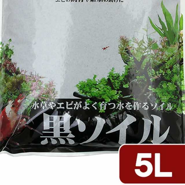 カミハタ 黒ソイル ５ｌ 栄養系ソイルの通販はau Pay マーケット チャーム