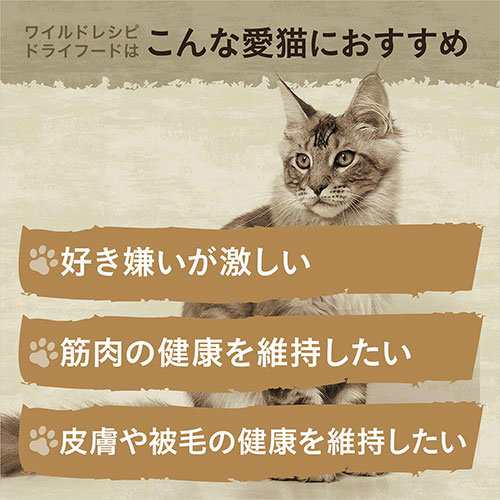 ニュートロ 猫 キャット ワイルド レシピ アダルト ４００ｇ ３種各１