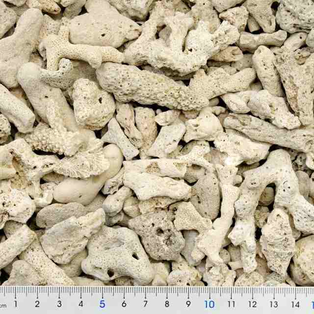 特典 Ｃ．Ｐ．Ｆａｒｍ 天然サンゴ砂 ♯２５ Ｎａｔｕｒａｌ ｃｏｒａｌ ｓａｎｄ ３ｋｇ（約２．３Ｌ） 海水水槽 底砂 ３袋入り 