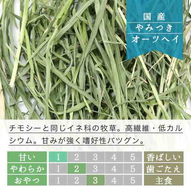 ＧＥＸ　毎日食べるおいしいチモシー　６５０ｇ×１２袋　牧草　お一人様１点限り　沖縄別途送料　うさぎ　一番刈り