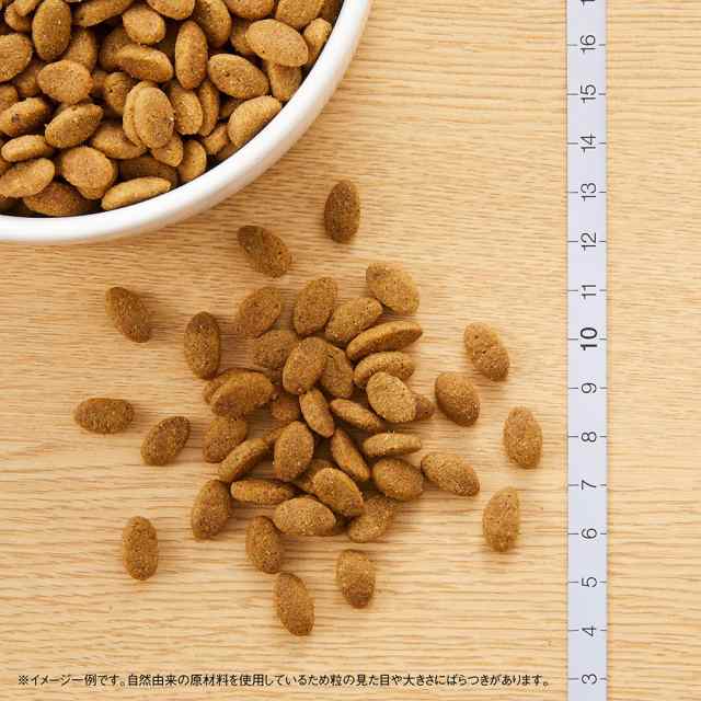 ニュートロ　シュプレモ　小型犬用　成犬用　３ｋｇ×４袋　お一人様１点限り ドッグフードの通販は