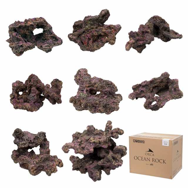 ＯＲＣＡ　ＯＣＥＡＮ　ＲＯＣＫ　ＡＬＦＡ　ライブロックレプリカ　〜９０ｃｍ水槽の通販は